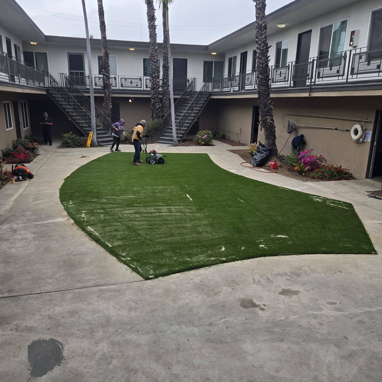 Natural Grass