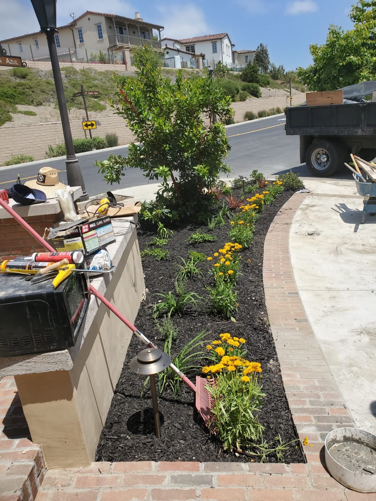 Planting Design 
