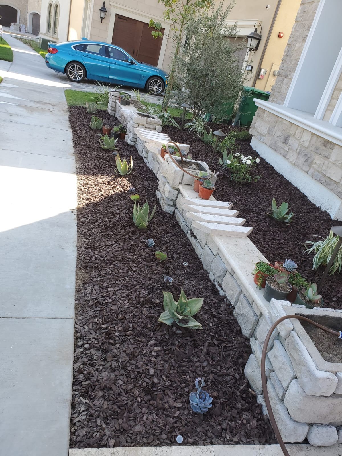 Planting Design 