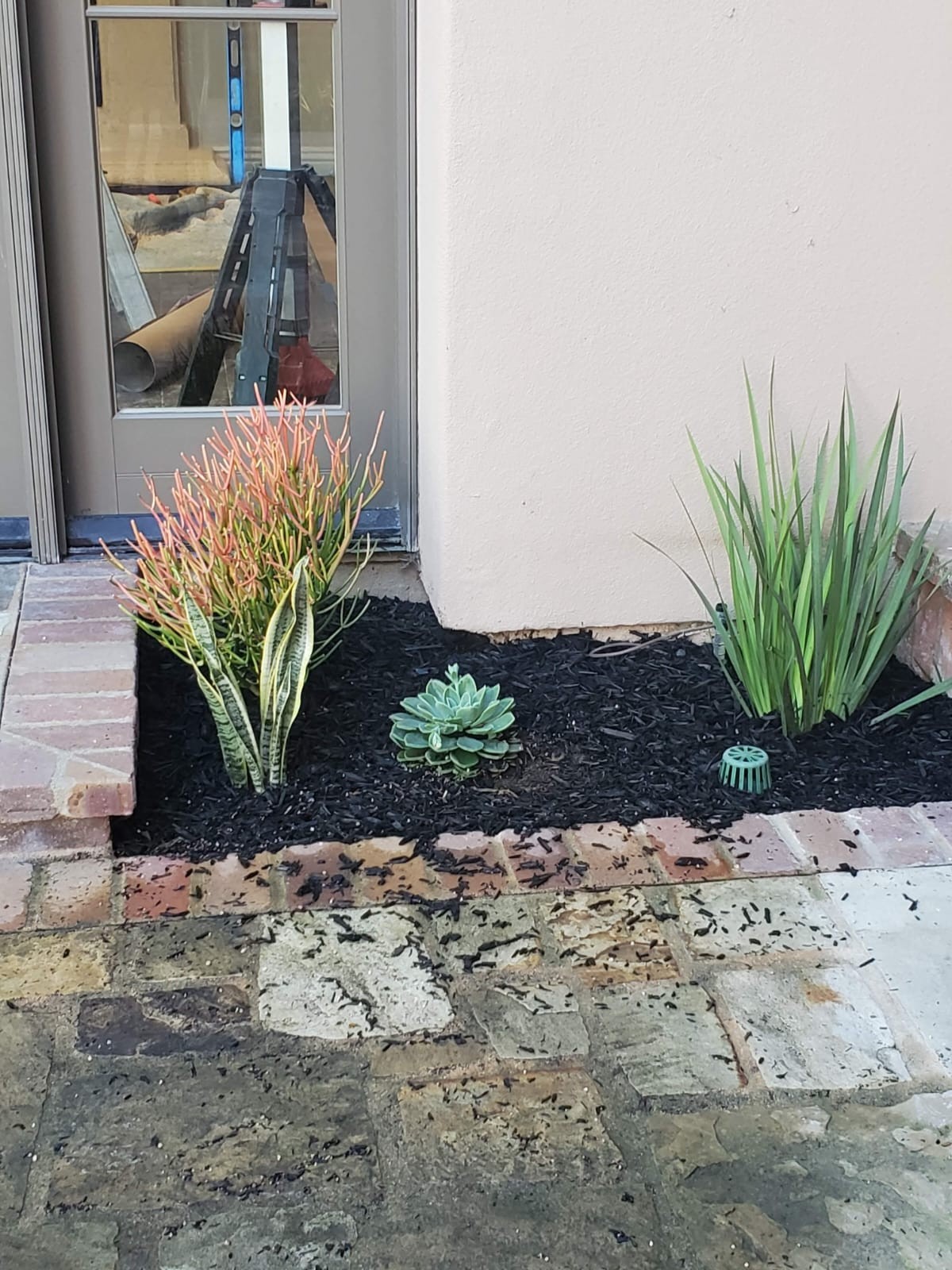 Planting Design 