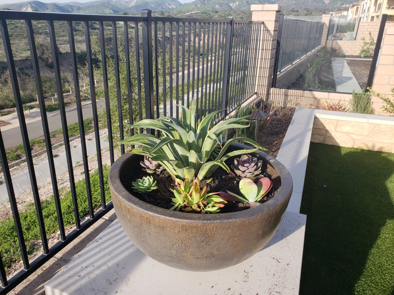 Planting Design 