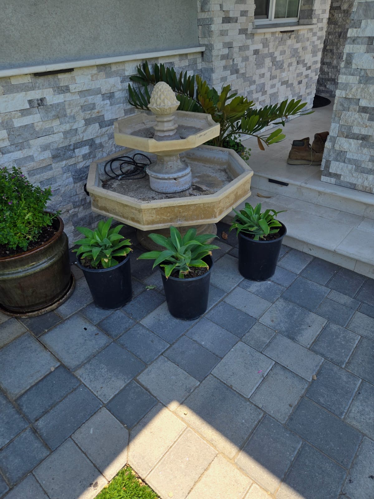Planting Design 