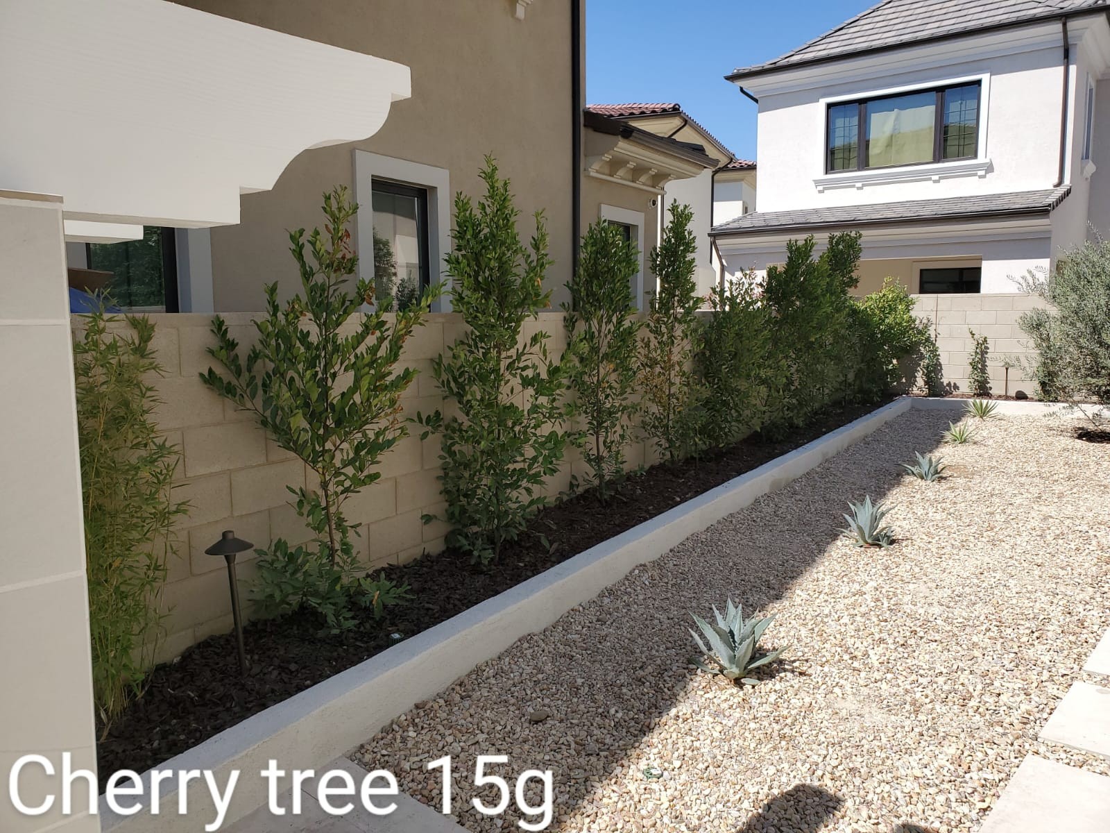 Planting Design 