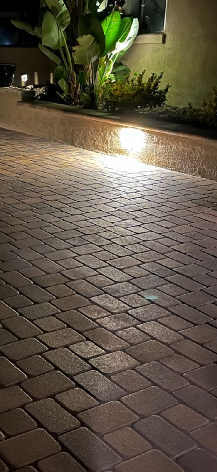Steps & Walkways 